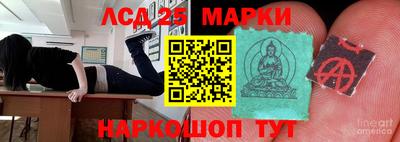 дурь Берёзовский
