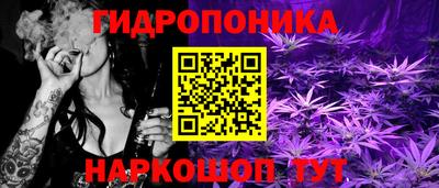 дурь Берёзовский