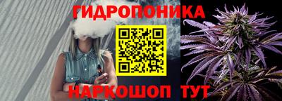шишки Беслан