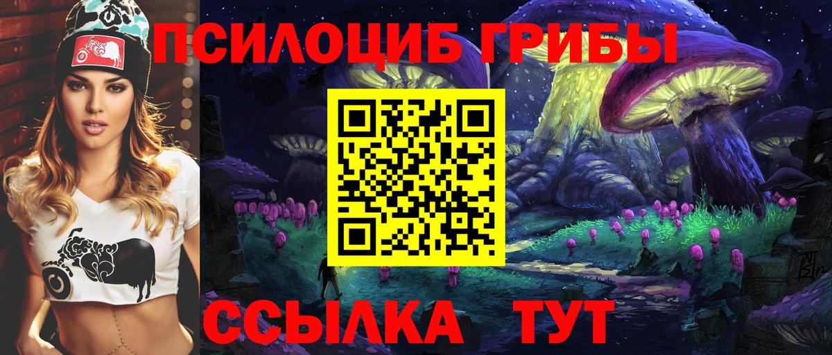 Балахна  Галлюциногенные грибы MAGIC MUSHROOMS  Вход с VPN 